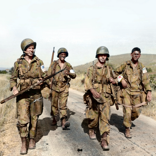 Operation Dragoon: The 1st Airborne Task Force (ABTF) Jumps Into France