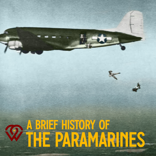 A BRIEF HISTORY OF THE PARAMARINES