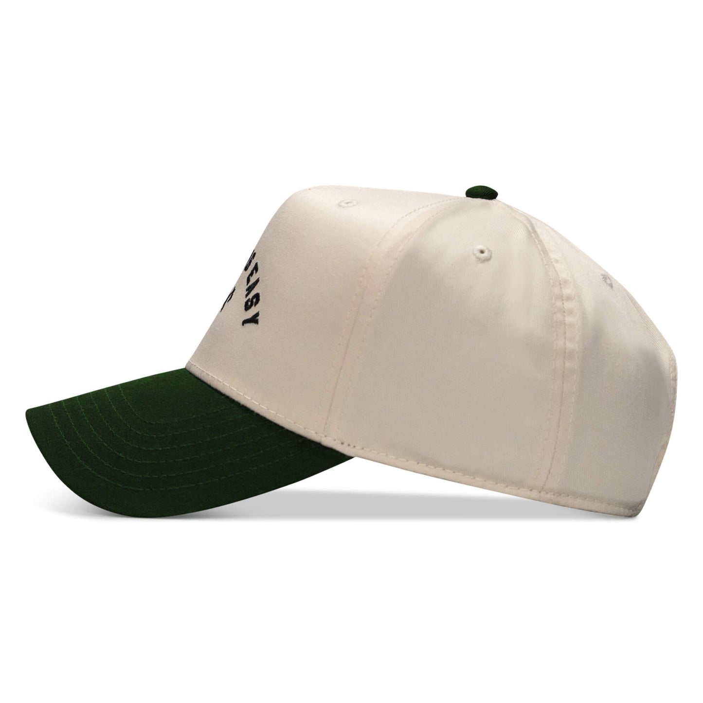 Dying Is Easy Classic Snapback Hat