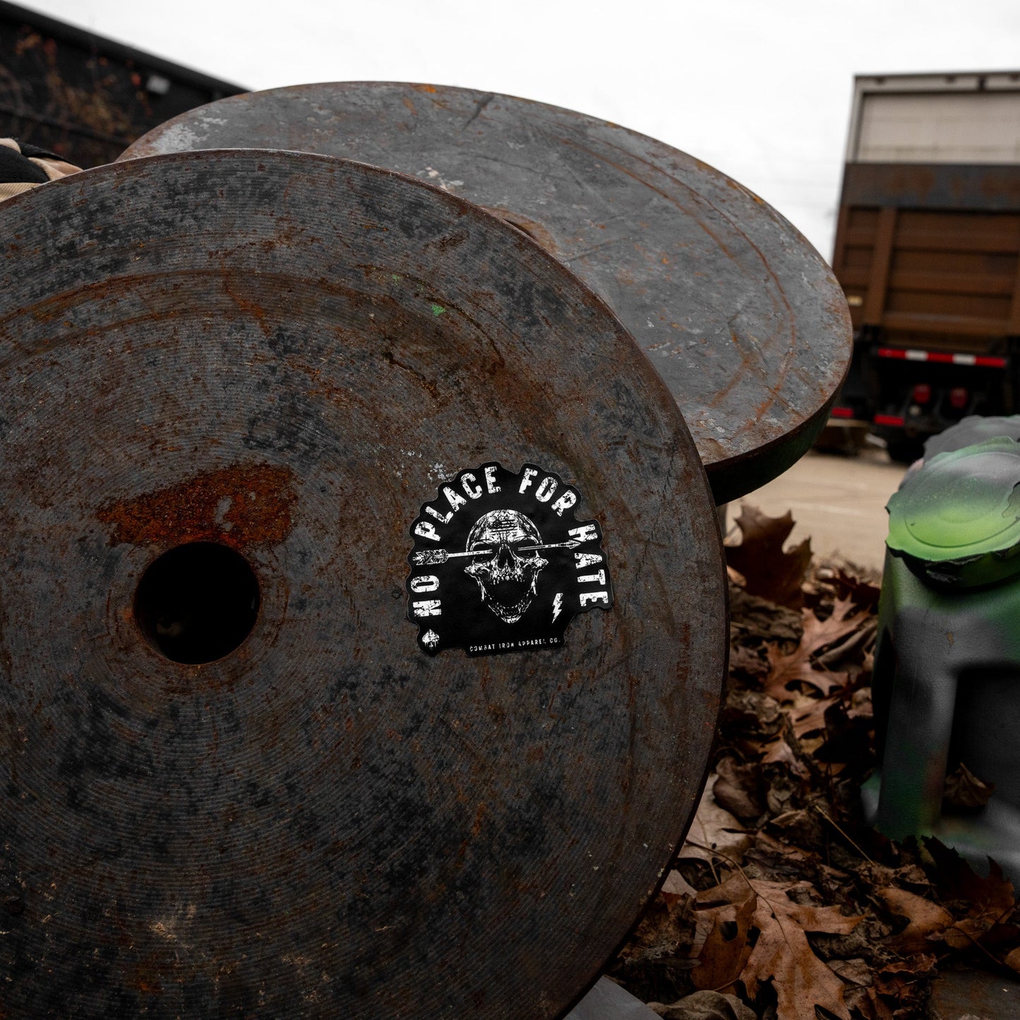 No Place For Hate Skull Decal