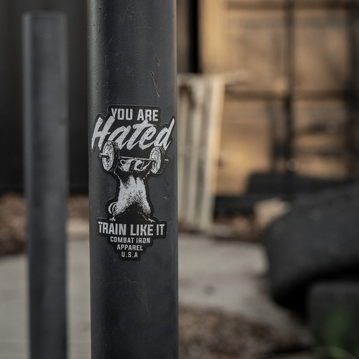 You Are Hated Train Like It Decal