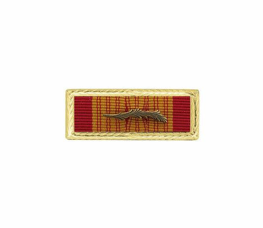 U.S. Army Vietnam Gallantry Cross W/ Bronze Palm Unit Citation With STA-BRITE® Frame