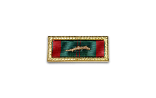 Vietnam Civil Action Unit Citation with Palm