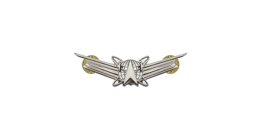 US Air Force Space Command Basic STA-BRITE® Badge