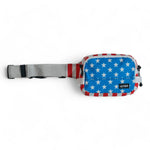 Load image into Gallery viewer, Fanny Pack Dump Pouch V2.5

