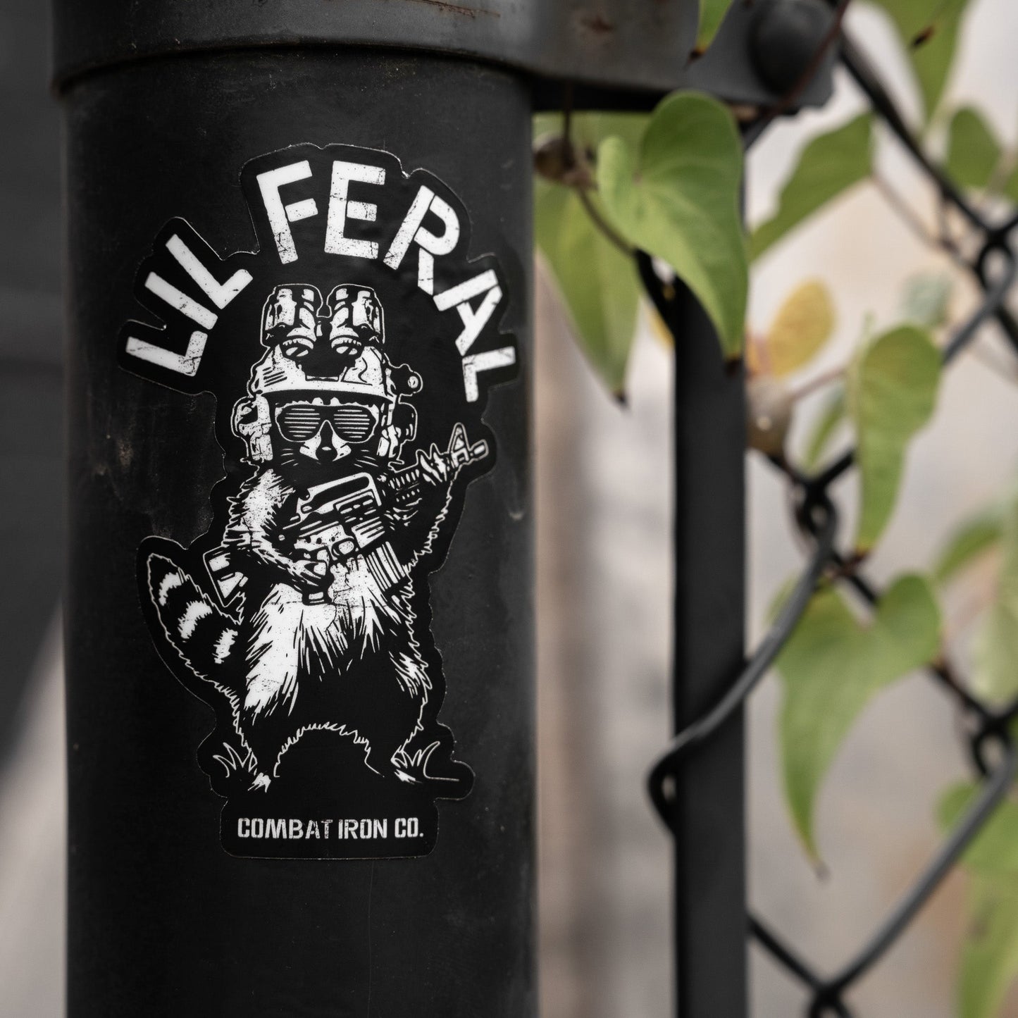 Lil Feral Racoon Decal