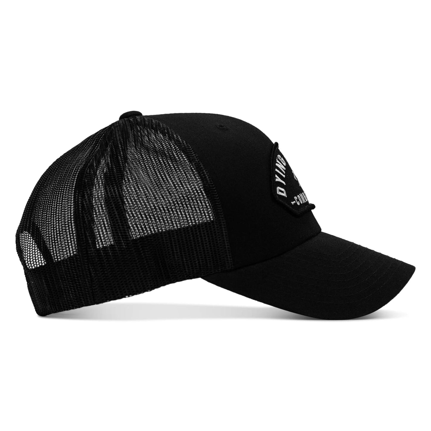 Dying Is Easy Arched Patch Snapback Hat