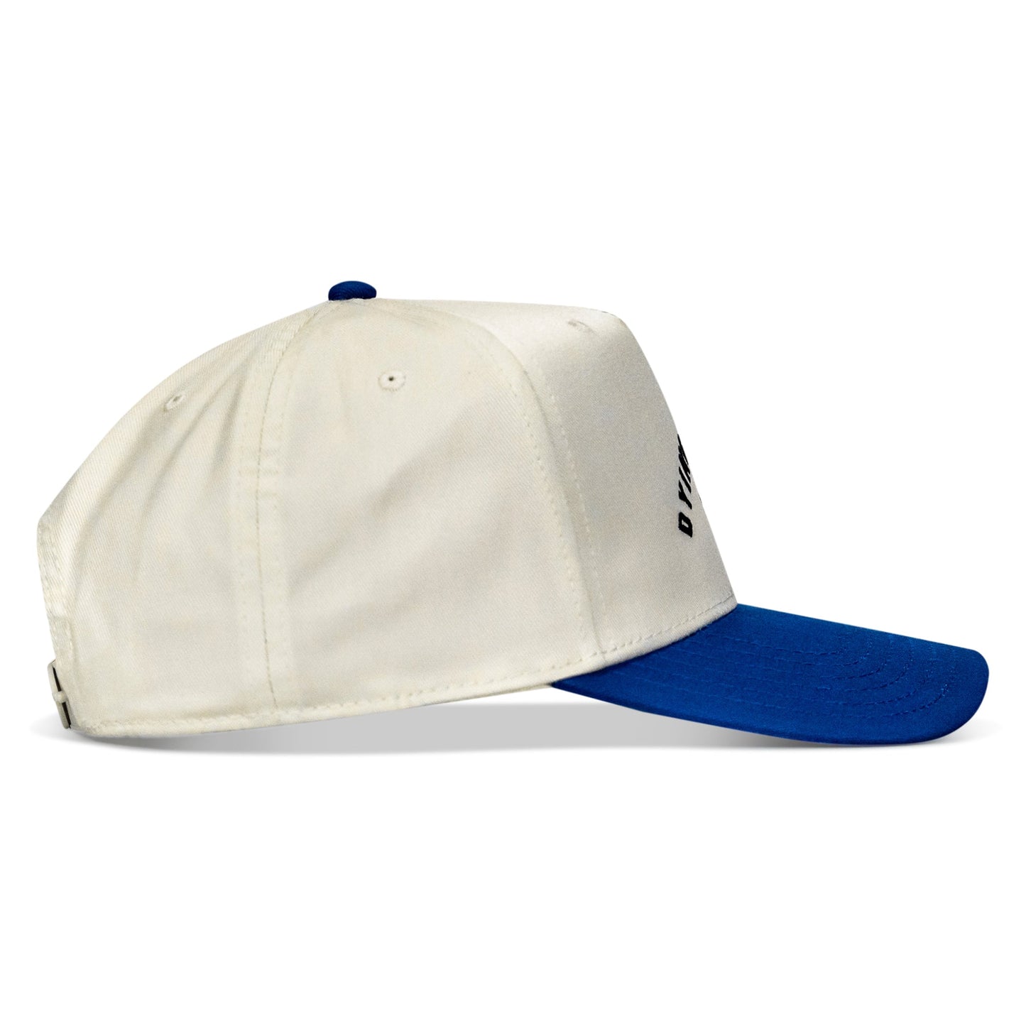 Dying Is Easy Classic Snapback Hat
