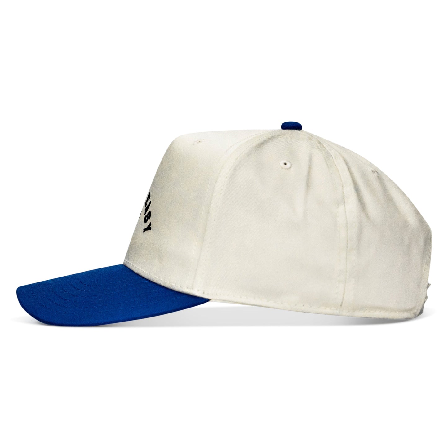Dying Is Easy Classic Snapback Hat