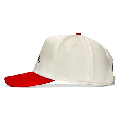 Dying Is Easy Classic Snapback Hat