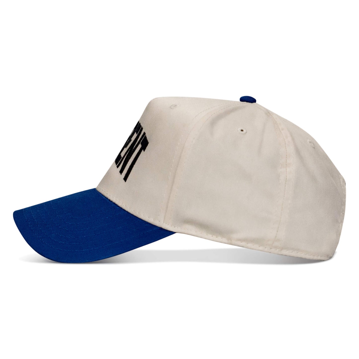 Hellbent Arched Snapback Hat
