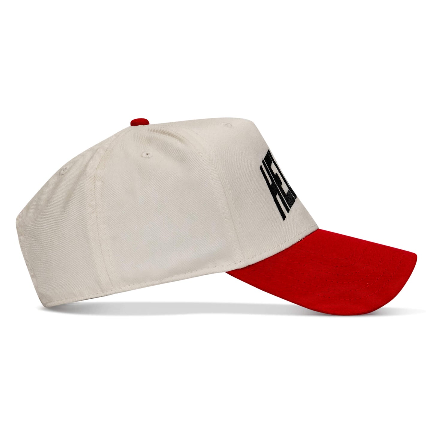 Hellbent Arched Snapback Hat