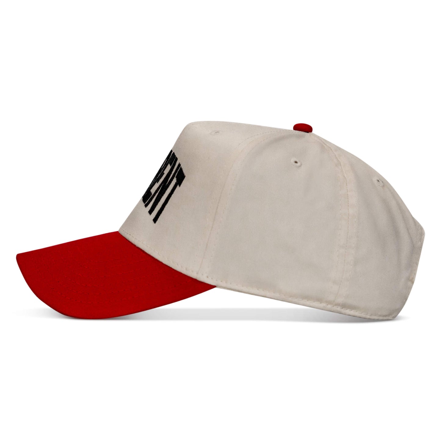 Hellbent Arched Snapback Hat