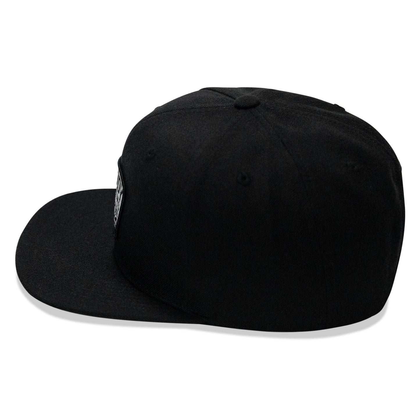 Nobody Is Coming To Save You Patch Flatbill Snapback Hat