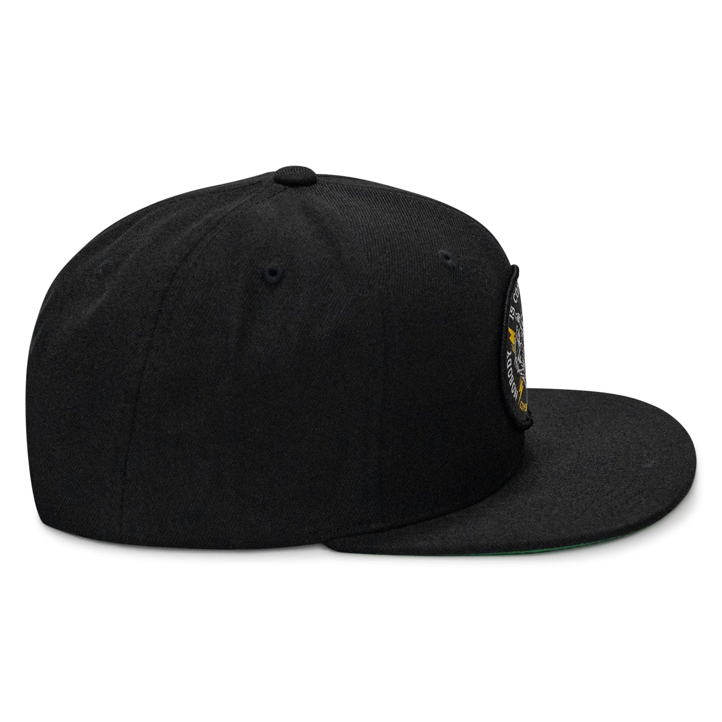 Nobody Is Coming To Save You FlatBill SnapBack Hat