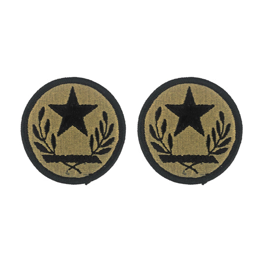 U.S. Army Texas Army National Guard OCP Patch w/Hook Fastener (prs)