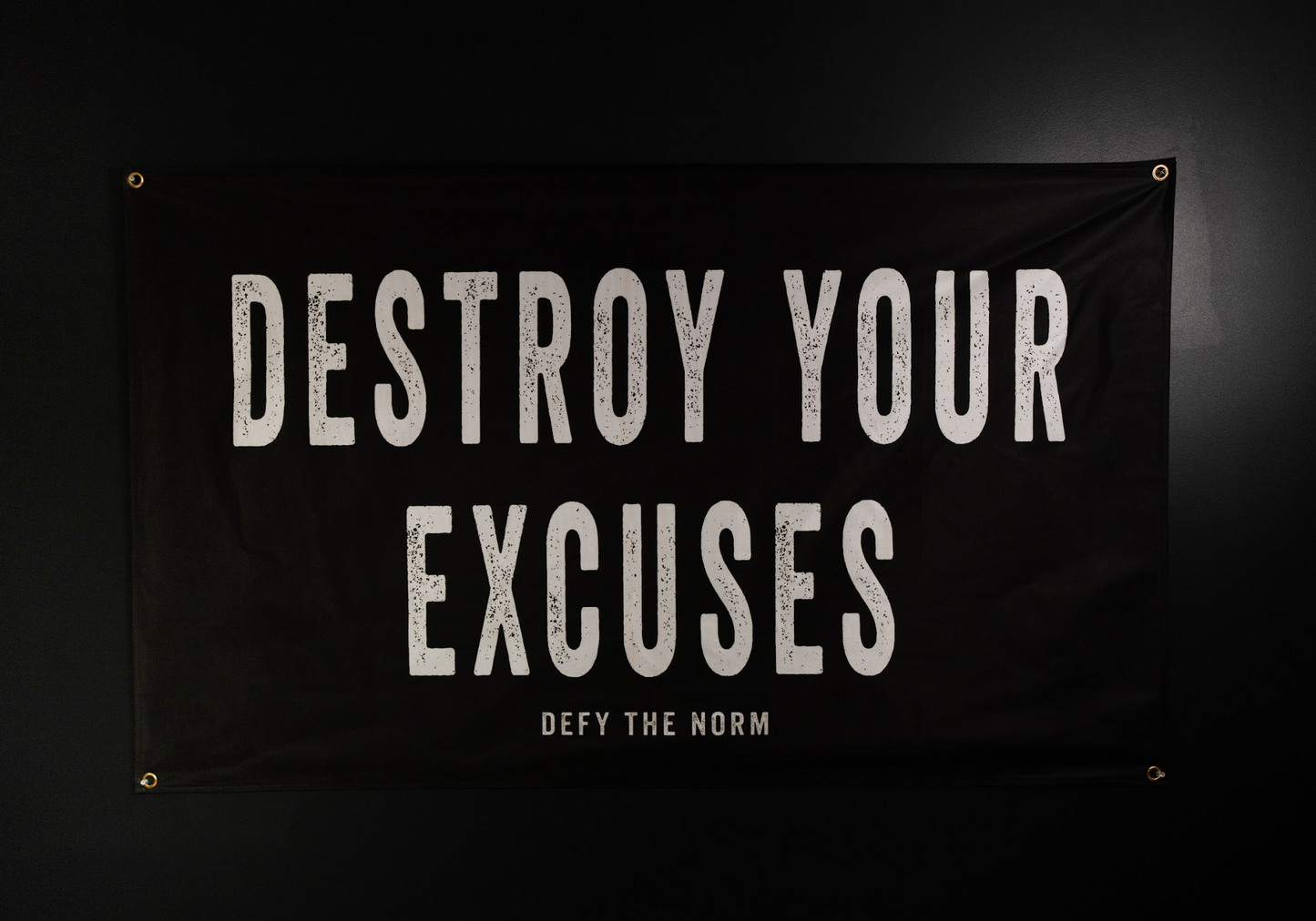 Destroy Your Excuses - Flag