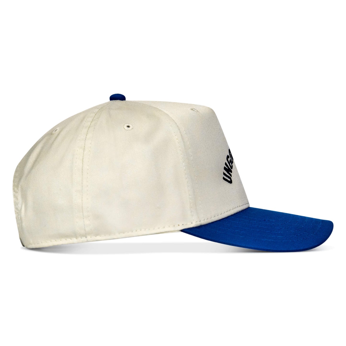 Ungovernable Snapback
