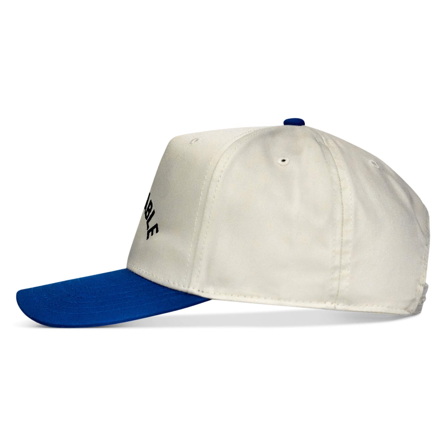 Ungovernable Snapback