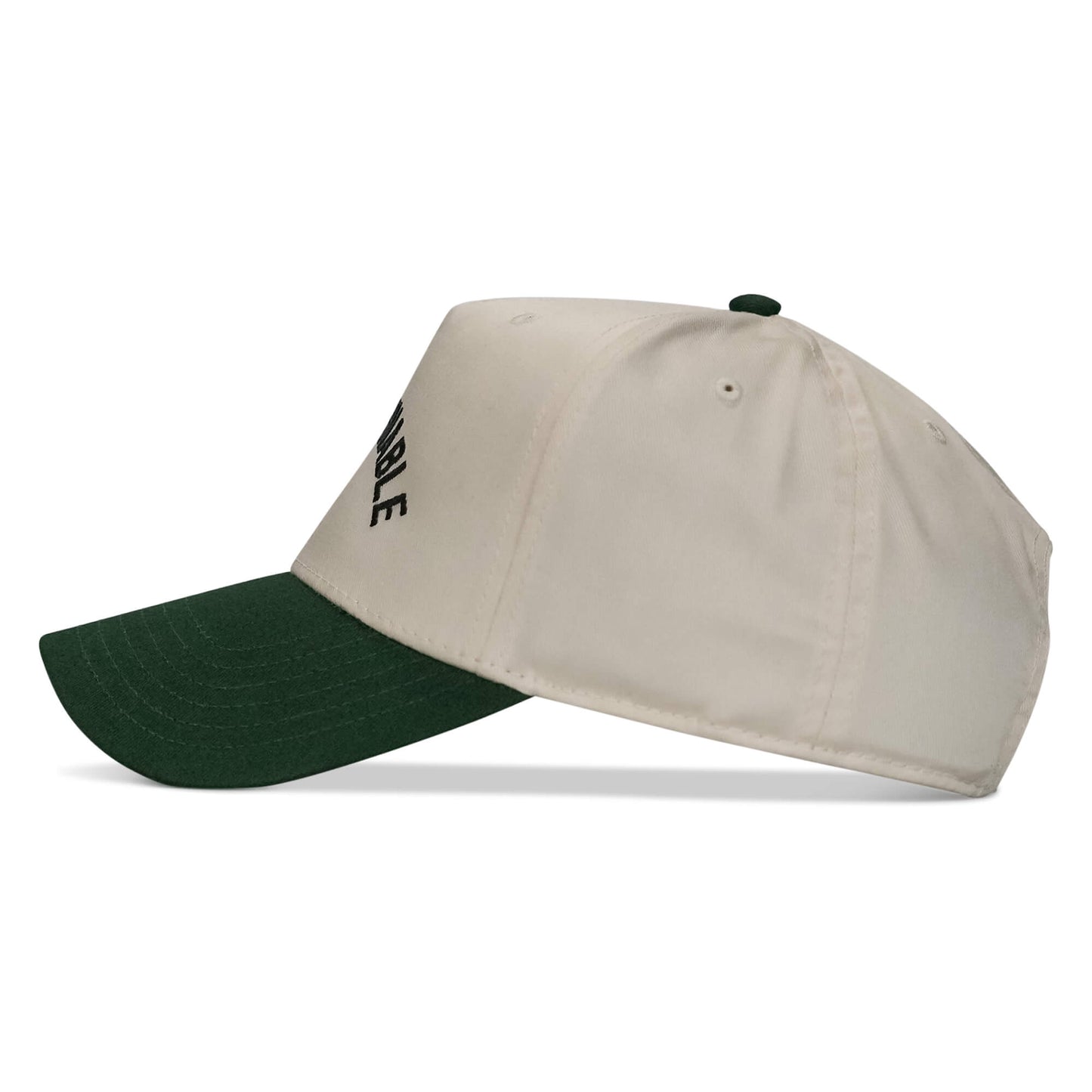 Ungovernable Snapback