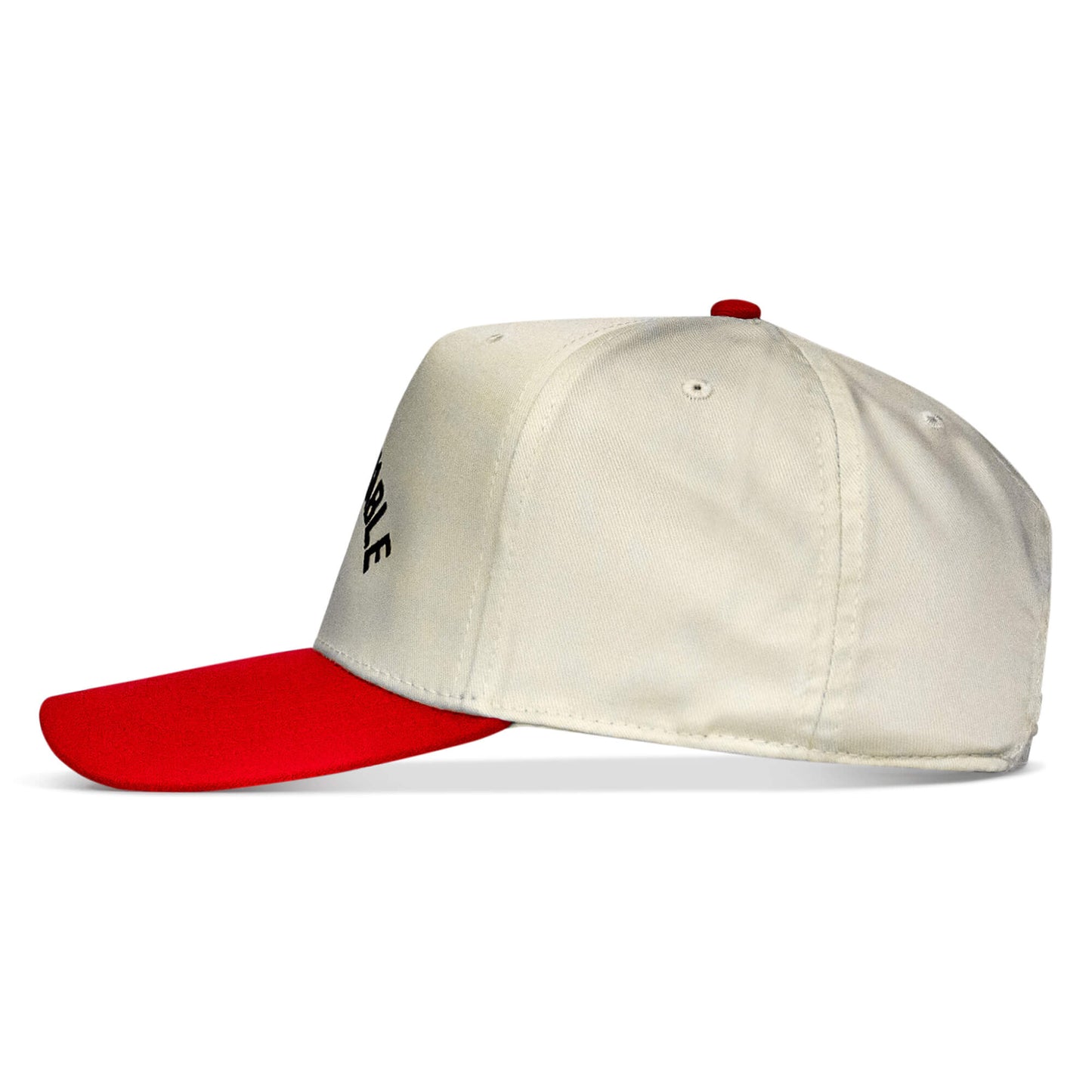 Ungovernable Snapback