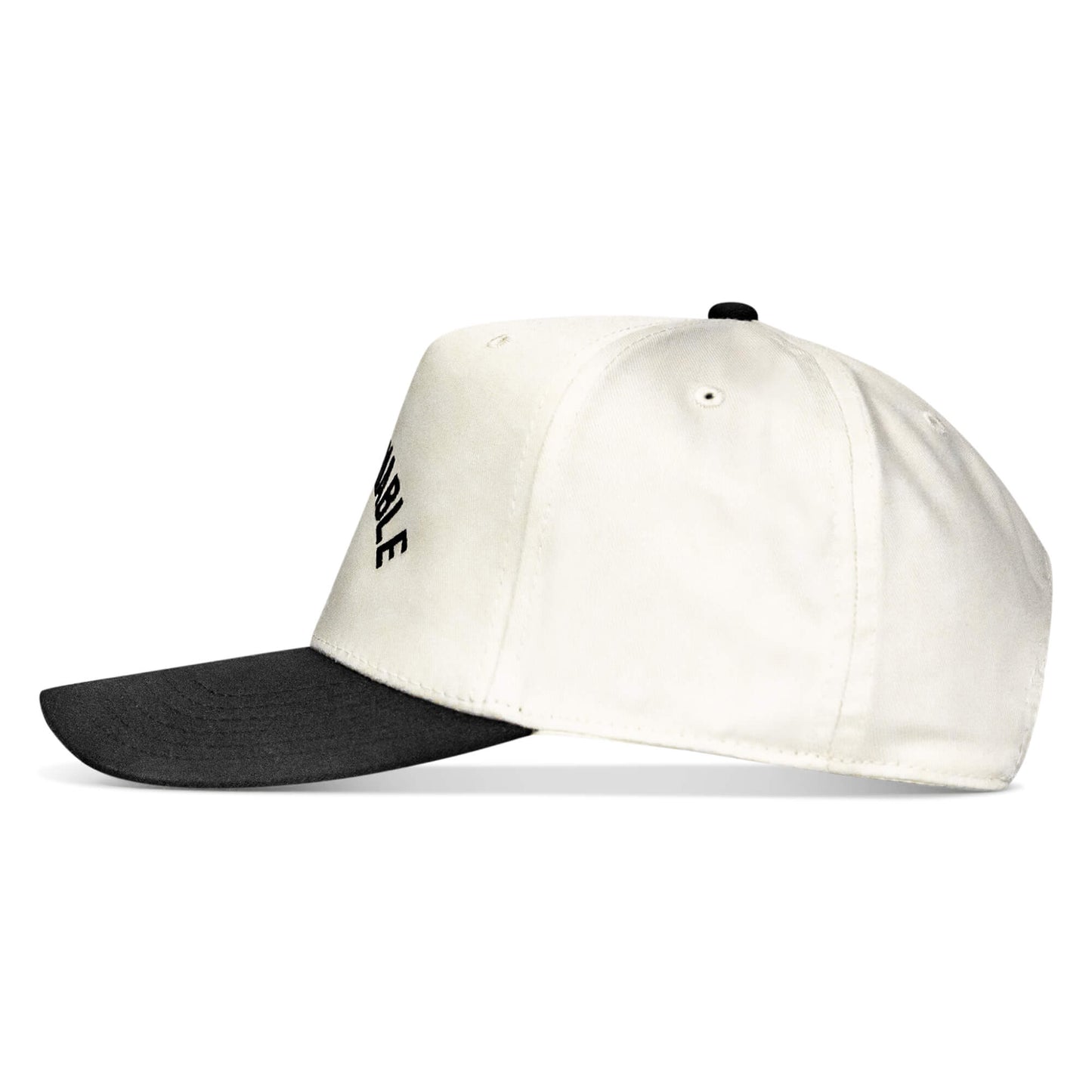 Ungovernable Snapback