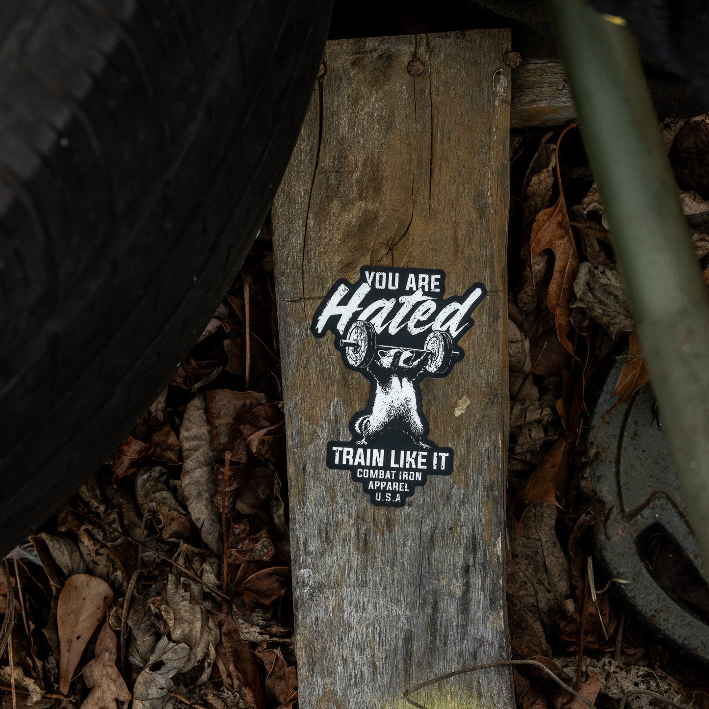 You Are Hated Train Like It Decal