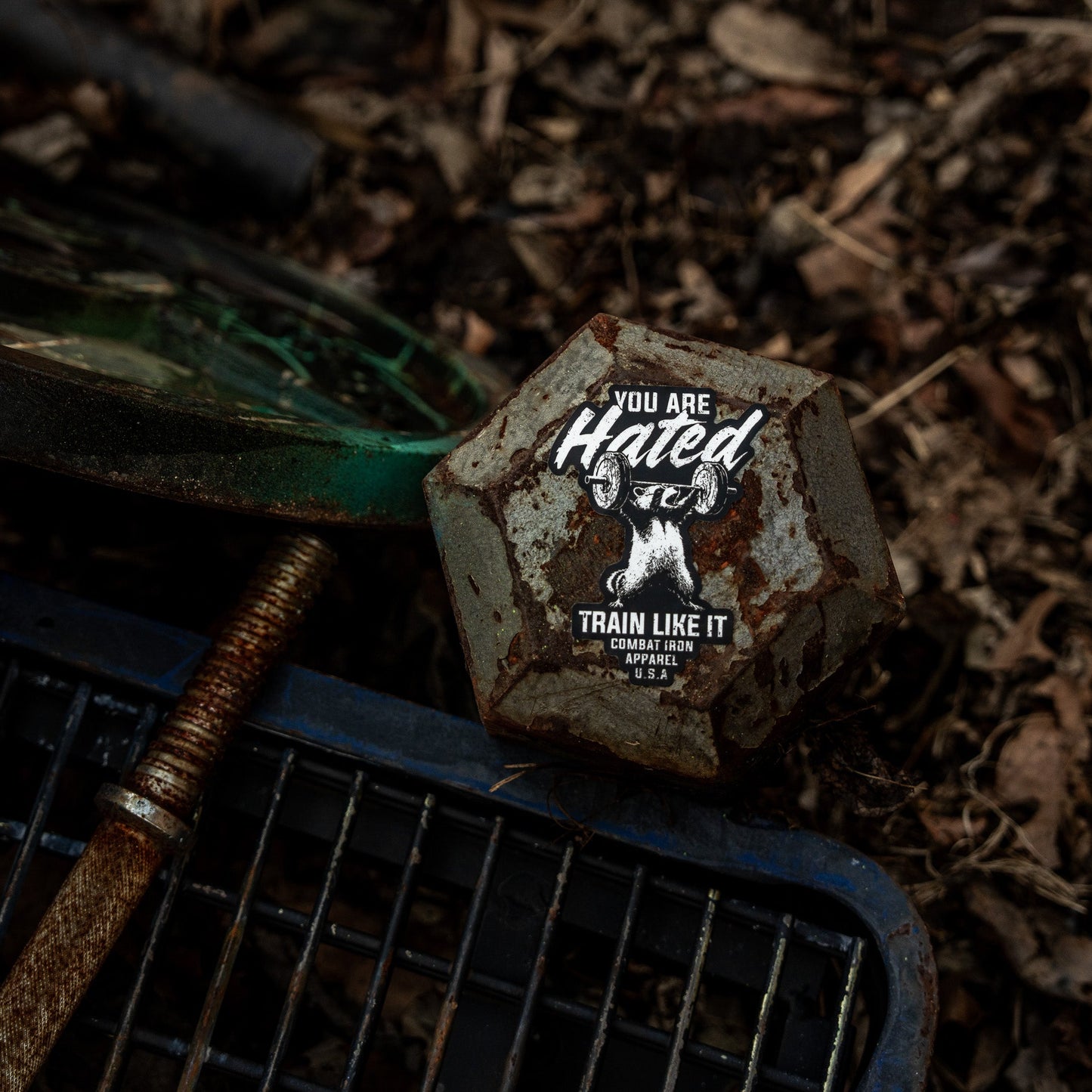 You Are Hated Train Like It Decal