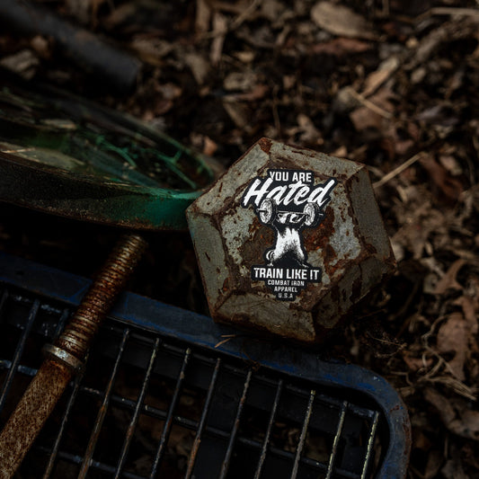 You Are Hated Train Like It Decal