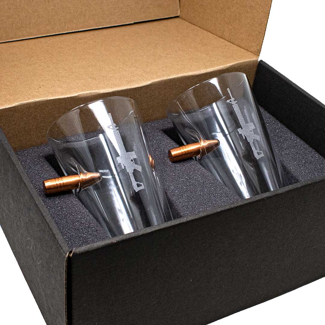 BenShot AR15 Glasses