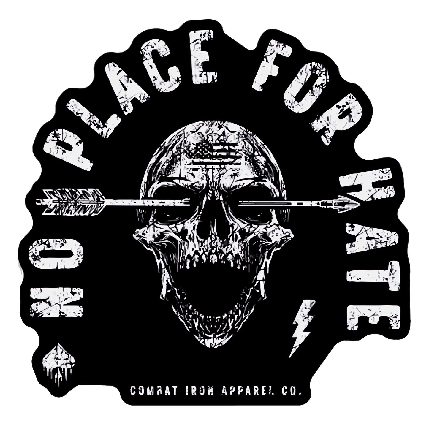 No Place For Hate Skull Decal