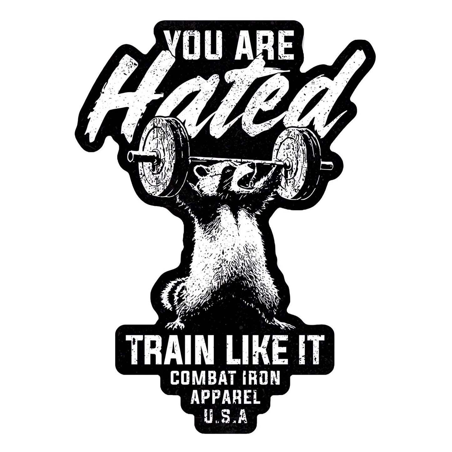 You Are Hated Train Like It Decal