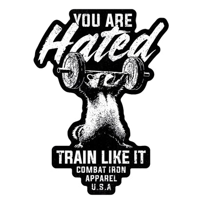 You Are Hated Train Like It Decal