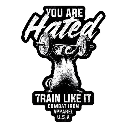 You Are Hated Train Like It Decal